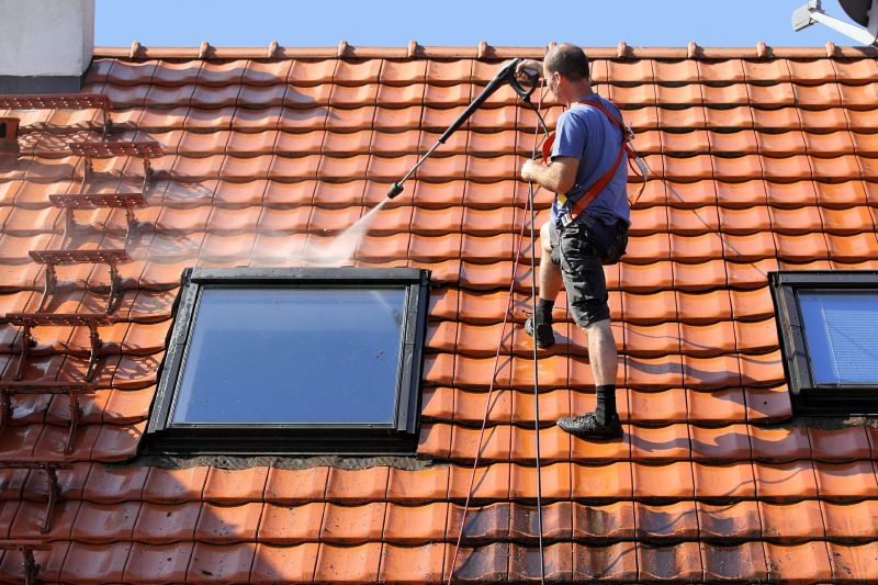 Roofline Cleaning